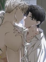 visual_w720
