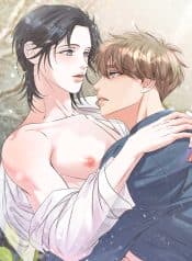 visual_w720