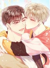 visual_w720