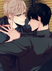 visual_w720